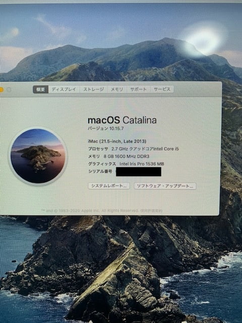 iMacの製品番号(21.5-inch late 2013)を記載した画面